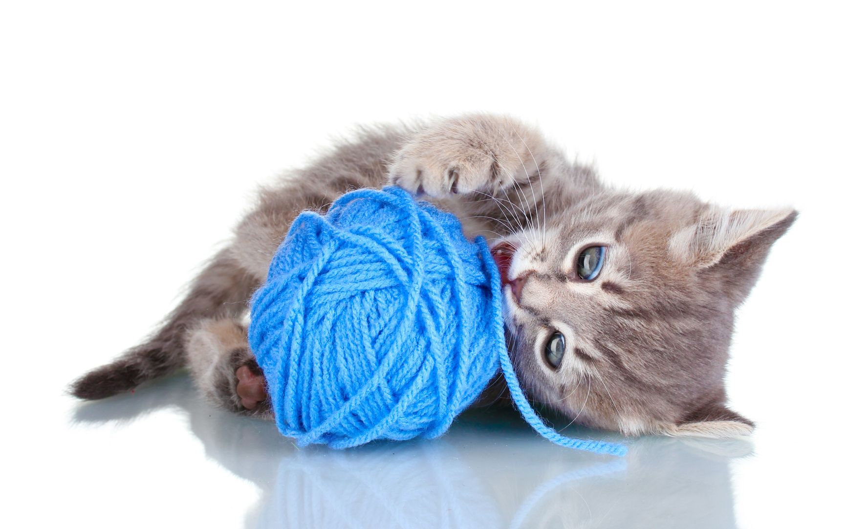 kittens-and-yarn-wallpapers-high-quality-download-free