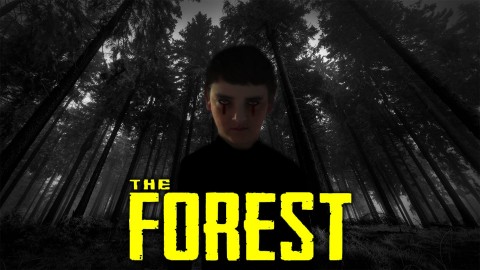 The Forest Game wallpapers high quality