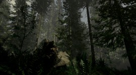 The Forest Game Wallpaper For Desktop