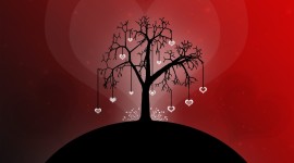 Tree Lovers Desktop Wallpaper