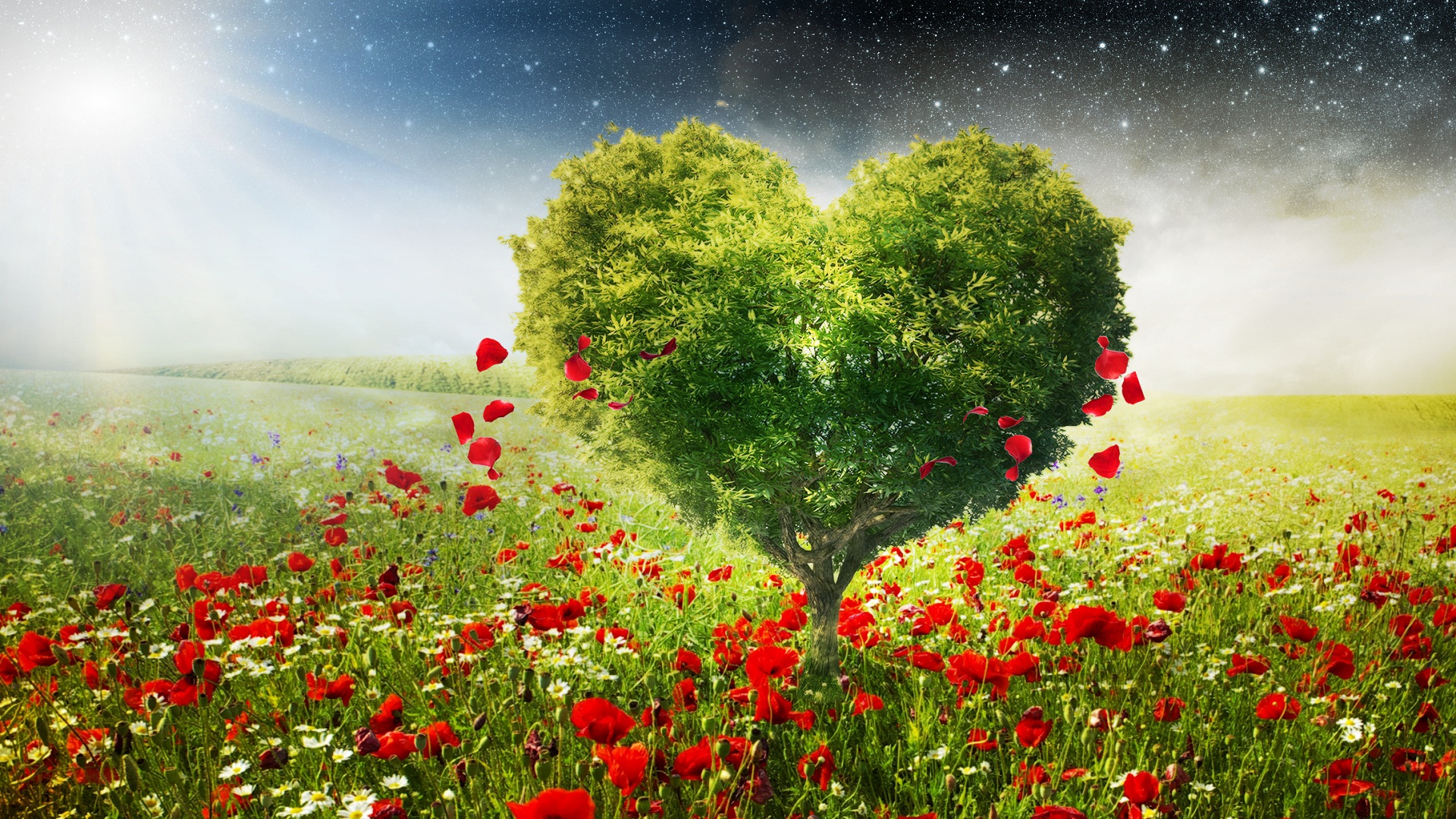 Tree Lovers Wallpapers High Quality | Download Free