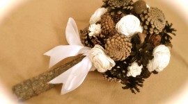 A Bouquet Of Cones Image#1