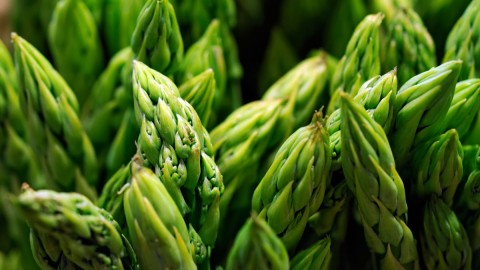 Asparagus wallpapers high quality