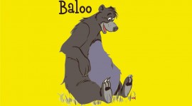 Baloo Aircraft Picture