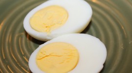 Boiled Eggs Photo Free#1