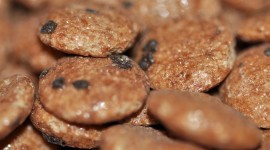 Cookies With Cereals Wallpaper Download