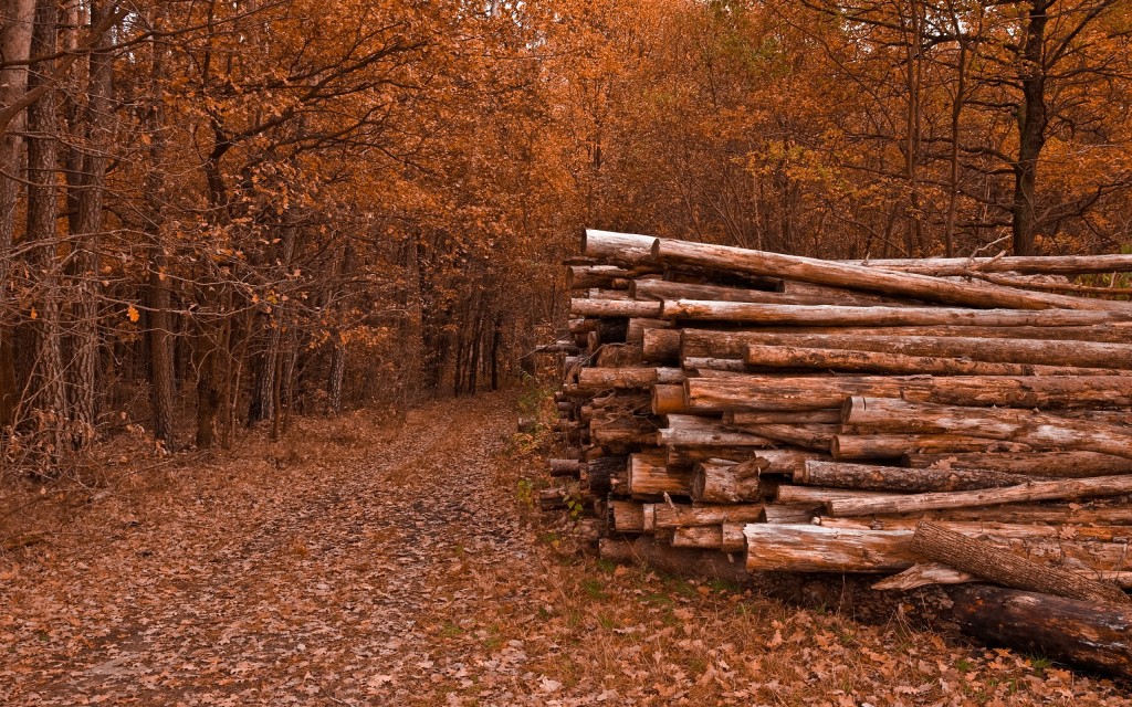 Logging wallpapers HD