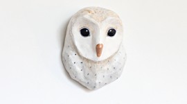 Mask Of An Owl Wallpaper