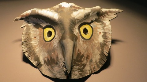 Mask Of An Owl wallpapers high quality