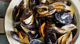 Mussels Wallpaper For IPhone Download