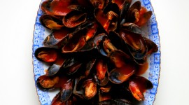 Mussels Wallpaper For Mobile
