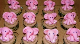 Pink Elephants Photo