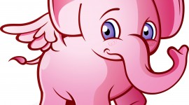 Pink Elephants Picture Download