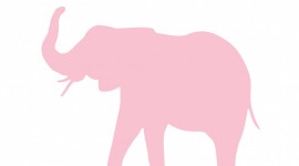 Pink Elephants Wallpaper Gallery