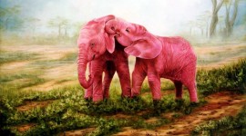 Pink Elephants Wallpaper HQ
