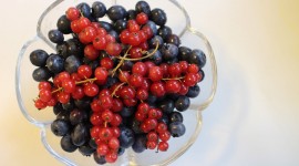 Red Currant Wallpaper For PC