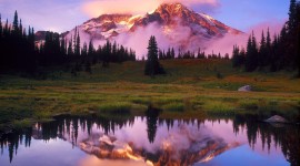 Reflection Photo Download