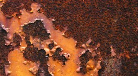 Rust Wallpaper 1080p