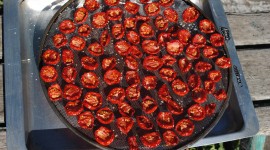 Sun-Dried Tomatoes Wallpaper Download Free