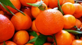 Tangerines Desktop Wallpaper For PC