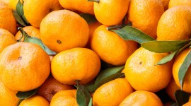 Tangerines Wallpaper 1080p