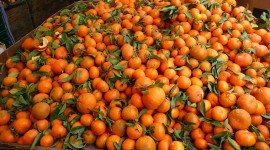 Tangerines Wallpaper For PC