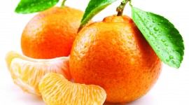 Tangerines Wallpaper Free
