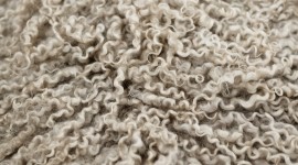 Wool Wallpaper For IPhone