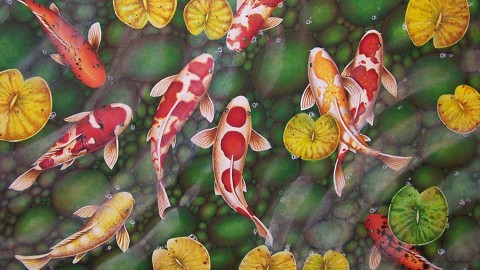 Fishes Watercolor wallpapers high quality