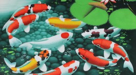 Fishes Watercolor Desktop Wallpaper HD