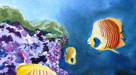 Fishes Watercolor Wallpaper For IPhone Download
