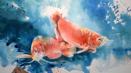 Fishes Watercolor Wallpaper For PC