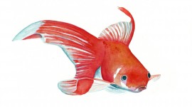 Fishes Watercolor Wallpaper Full HD
