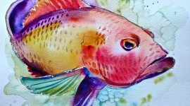 Fishes Watercolor Wallpaper Gallery