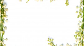 Floral Frame Desktop Wallpaper