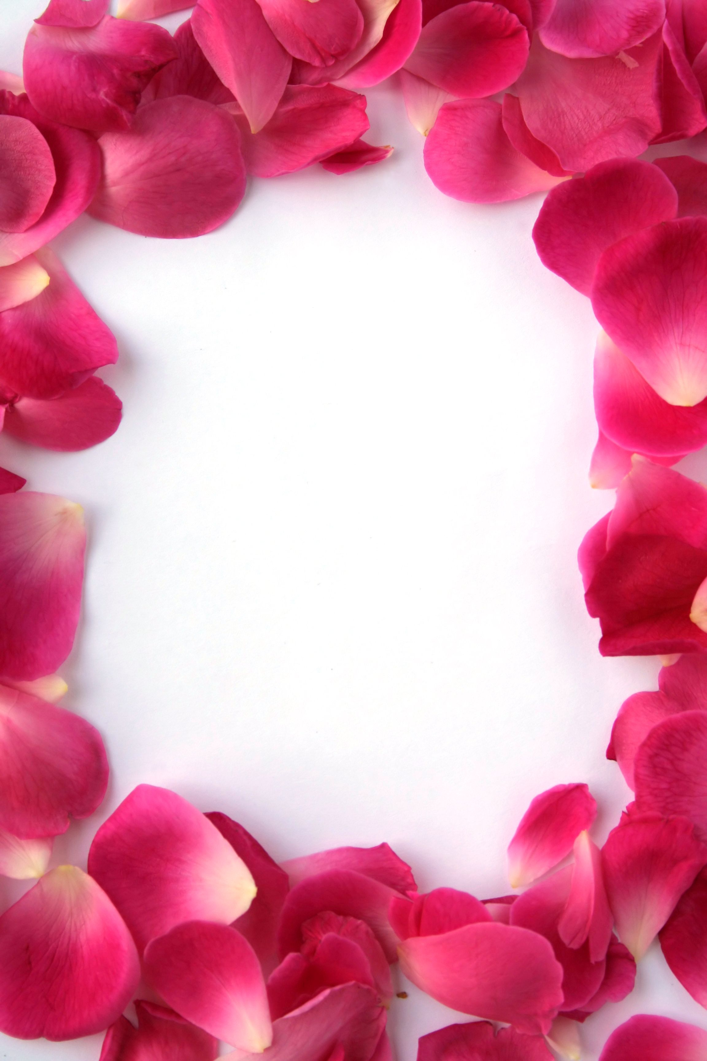 Flower Petals Wallpapers High Quality | Download Free