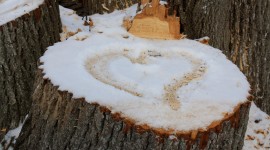 Hearts In The Snow Photo