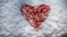 Hearts In The Snow Photo#2