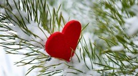 Hearts In The Snow Wallpaper 1080p