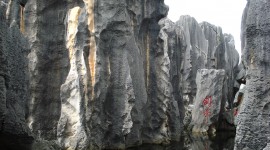 Karst Forest Shilin In China High Quality Wallpaper