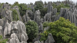 Karst Forest Shilin In China Wallpaper HD