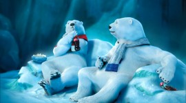 Polar Winter Desktop Wallpaper