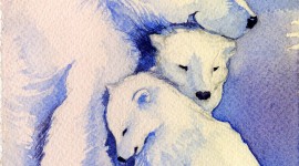 Polar Winter Wallpaper For IPhone