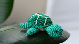 Small Turtles Desktop Wallpaper HD