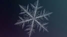 Snowflake Macro Wallpaper Gallery