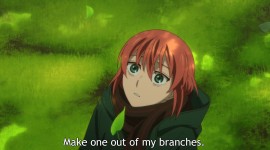 The Ancient Magus' Bride Photo Download