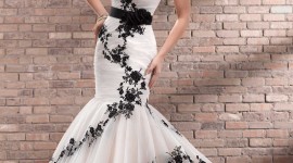 UUnusual Wedding Dresses For Android#2