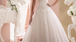 Wedding Dresses Wallpaper For Android#7