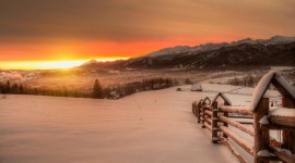 Winter Dawn Photo Download