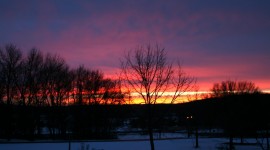 Winter Dawn Photo Download#1